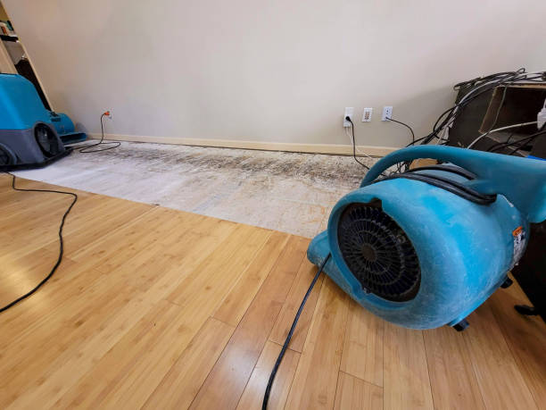 Professional Basement Flood Cleanup technician working in Franklin, LA